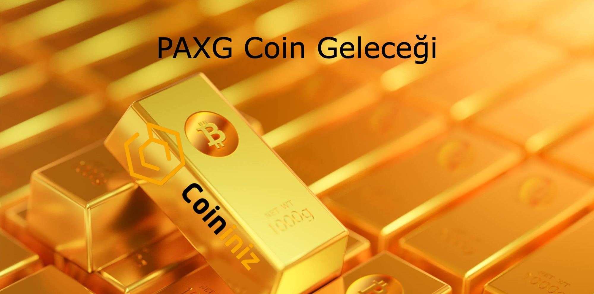 PAXG Coin Geleceği (2022)