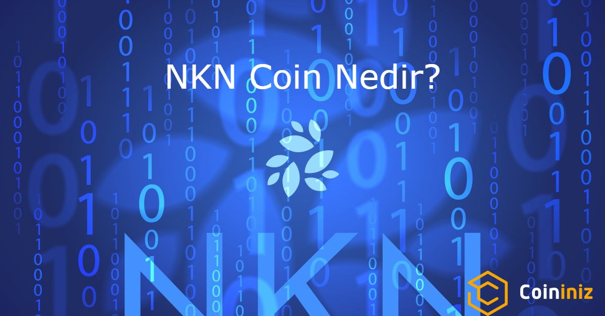 NKN Coin Nedir