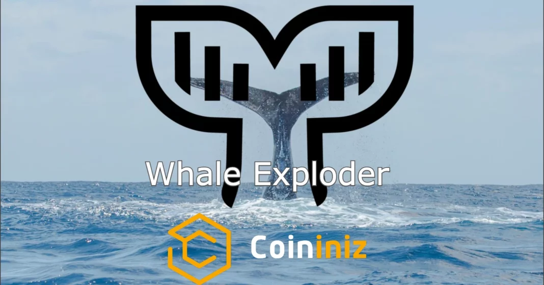 WHEX Token Nedir Whale Exploder Ekosistemi