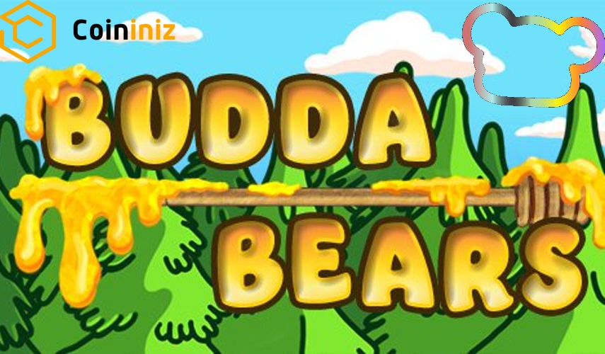 Budda Bears NFT Nedir?