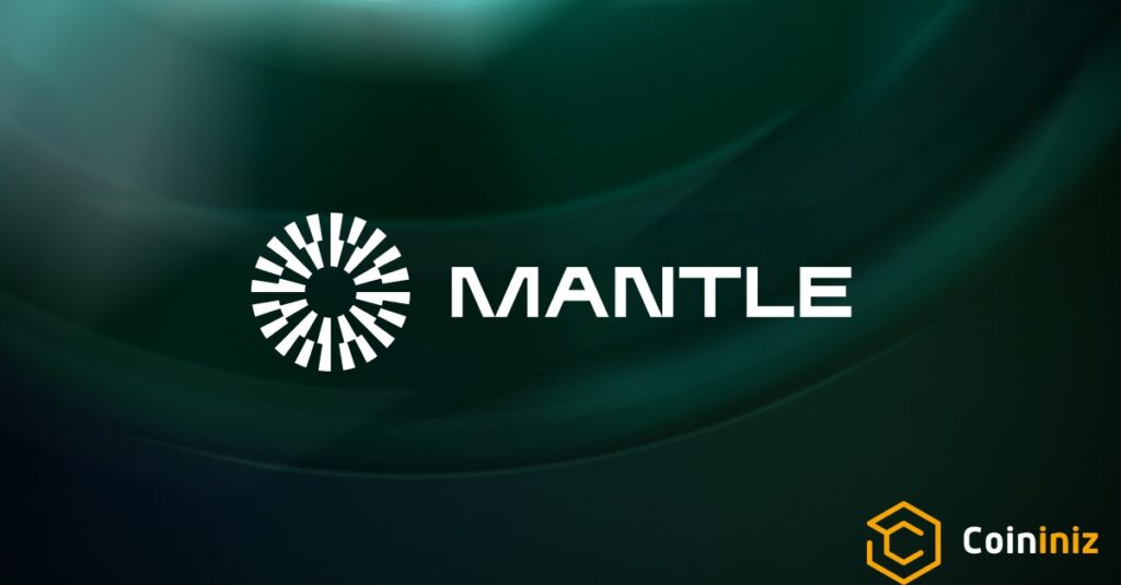 Mentle Network Coinniz