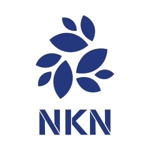 NKN Coin Yorum &#8211; NKN Coin Fiyat Tahmini