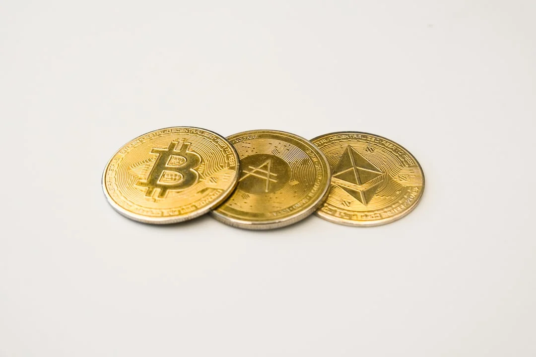 XNC Coin Geleceği 2023,2025,2030 (XeniosCoin)